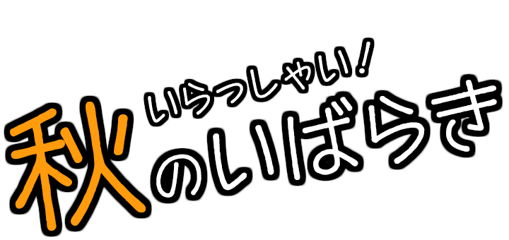 カモンベイビー！夏の茨城